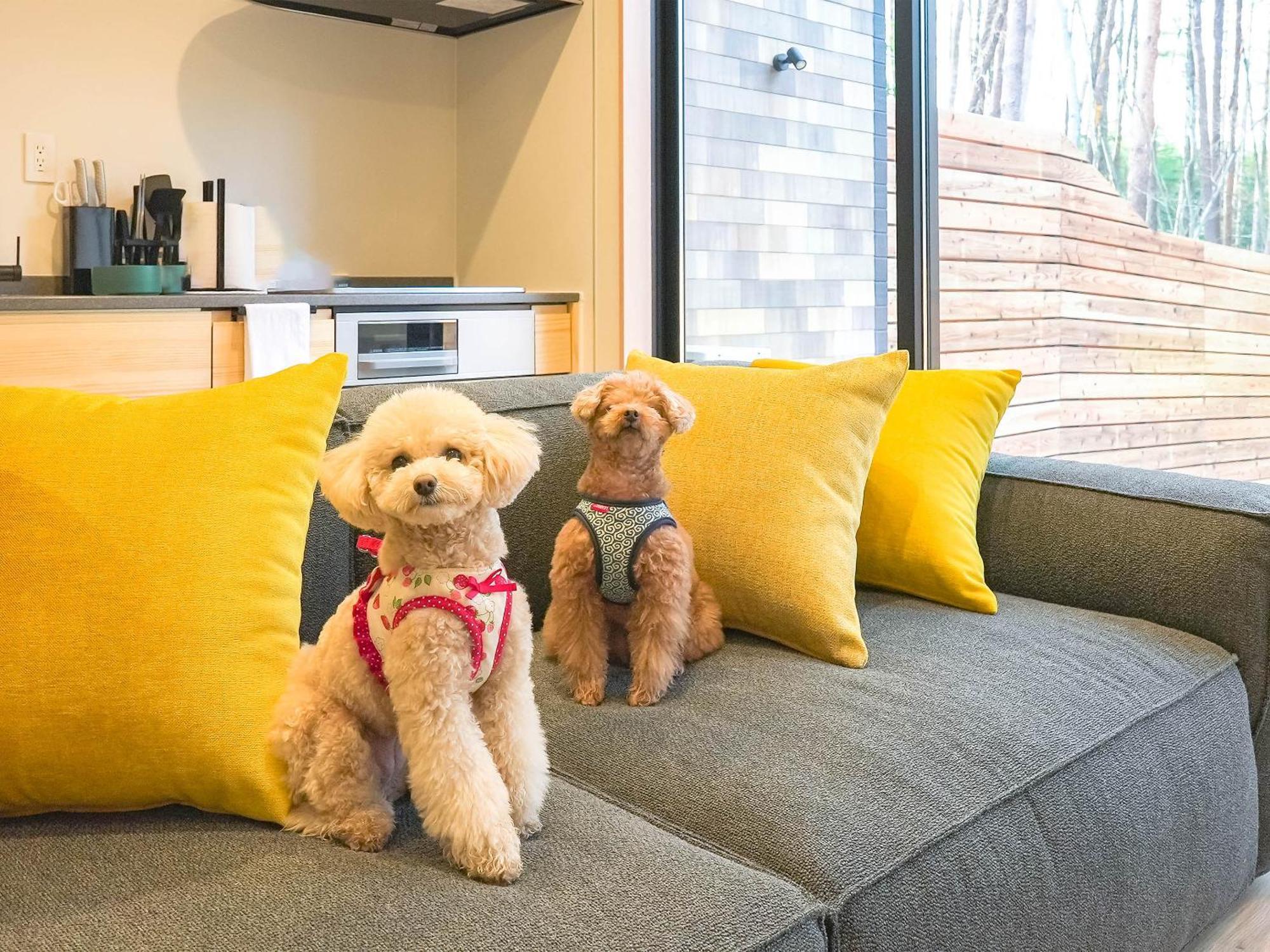 Rakuten Stay Villa Fujikawaguchiko Forest Экстерьер фото